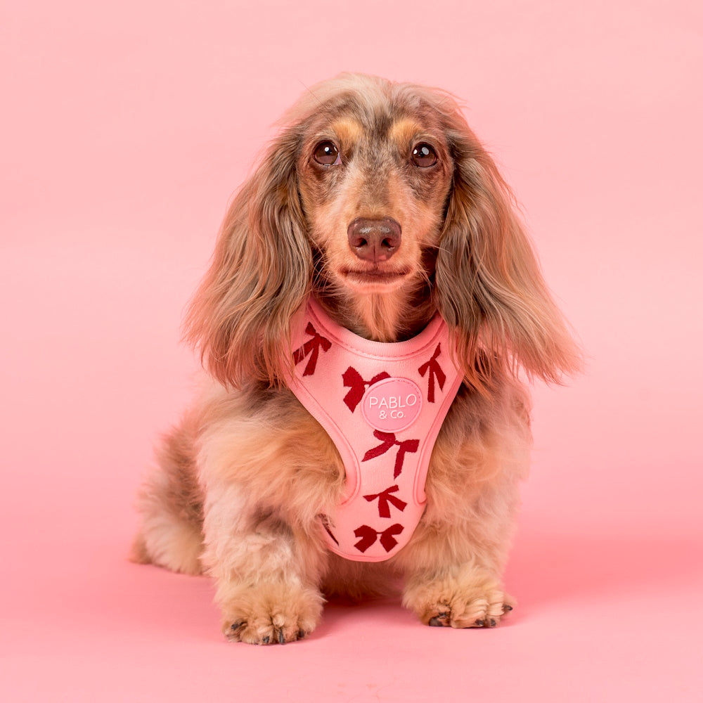 Pablo & Co Velvet Blush Bows Adjustable Harness