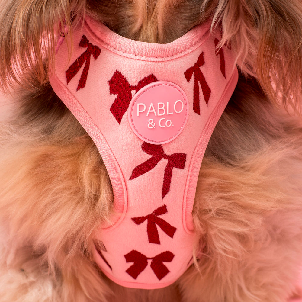 Pablo & Co Velvet Blush Bows Adjustable Harness