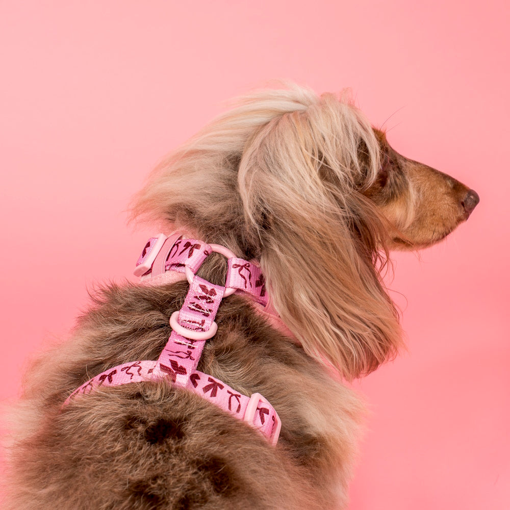 Pablo & Co Velvet Blush Bows Adjustable Harness