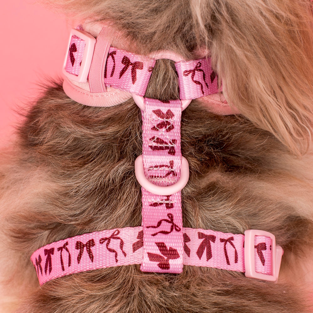 Pablo & Co Velvet Blush Bows Adjustable Harness