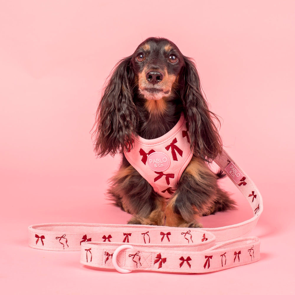 Pablo & Co Velvet Blush Bows Adjustable Harness