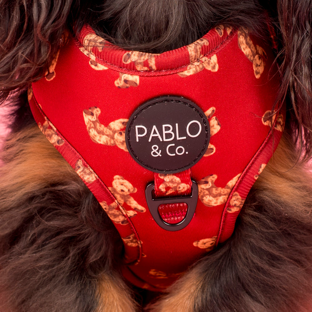 Pablo & Co Henry Bear Adjustable Harness