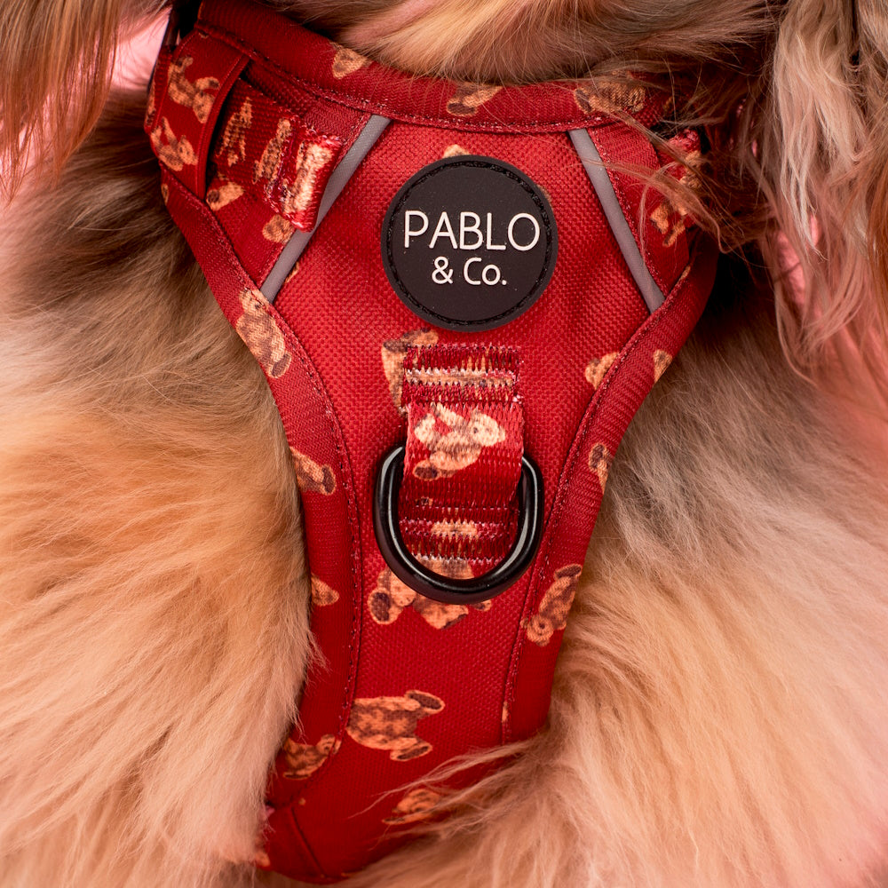 Pablo & Co Henry Bear No Pull Adventure Harness