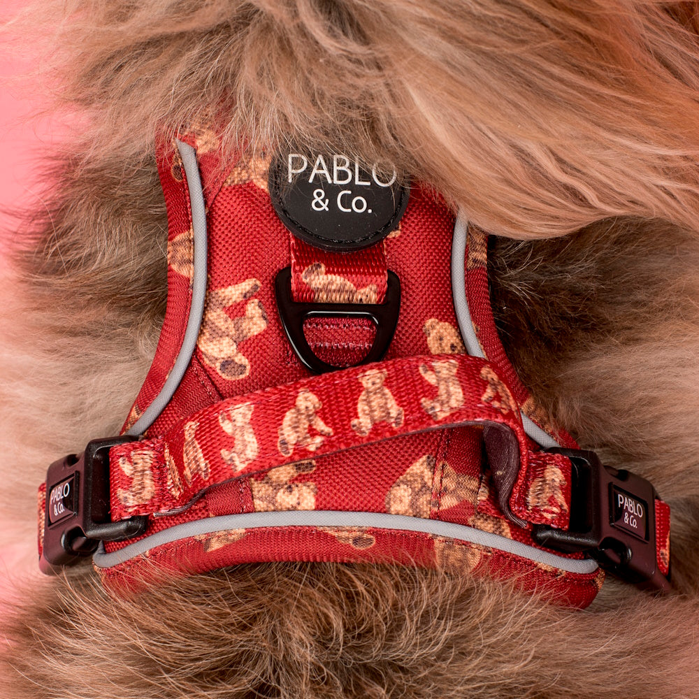 Pablo & Co Henry Bear No Pull Adventure Harness