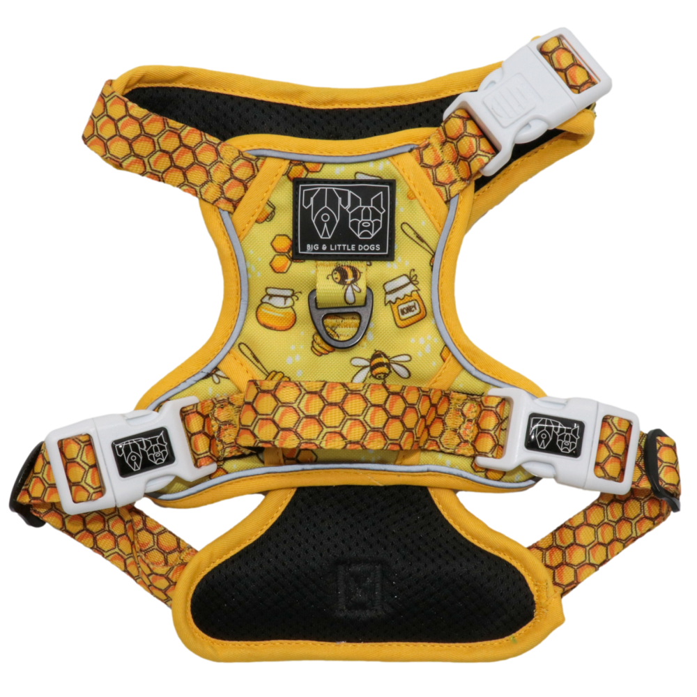 Big & Little Dogs Bee-Hiving All Rounder Harness