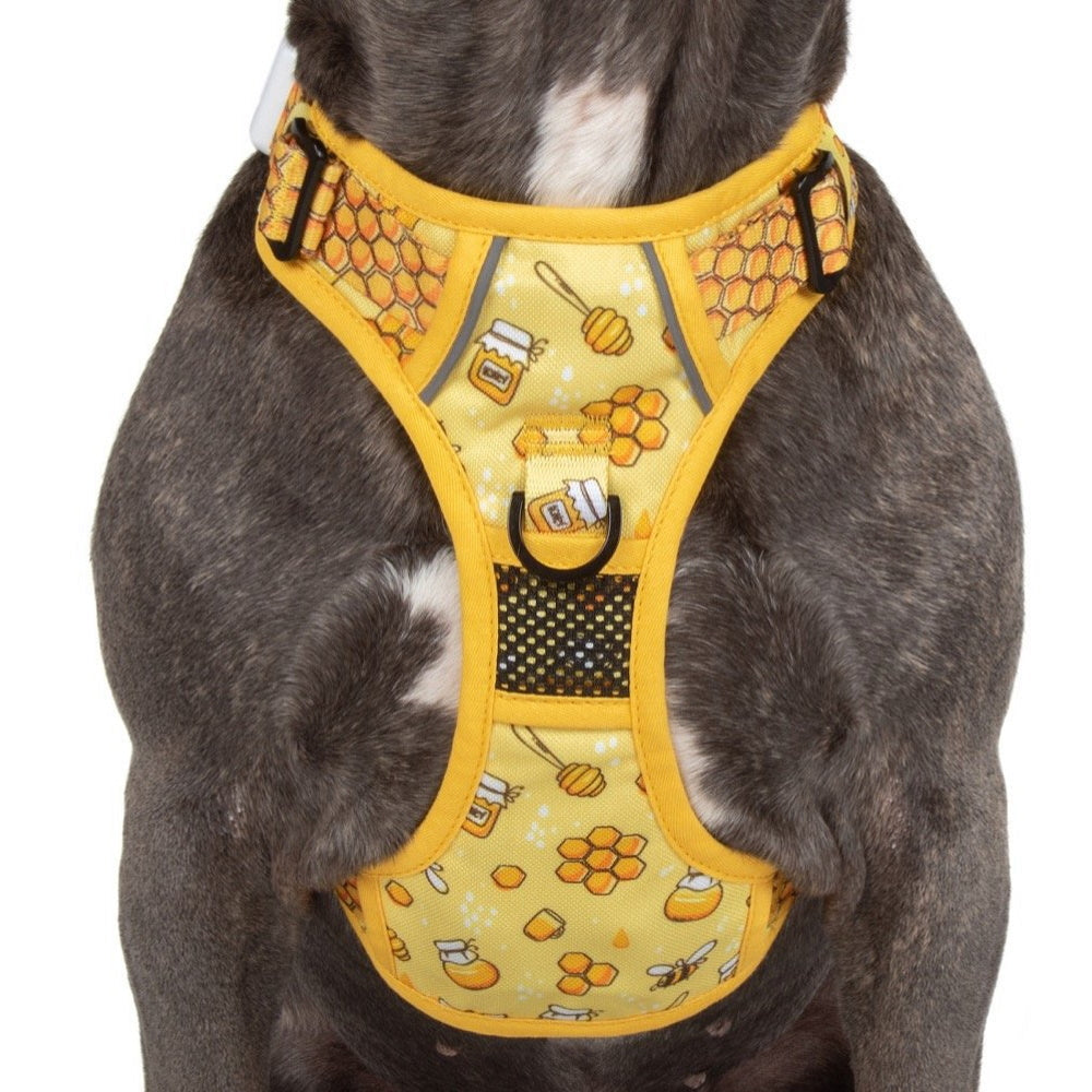 Big & Little Dogs Bee-Hiving All Rounder Harness