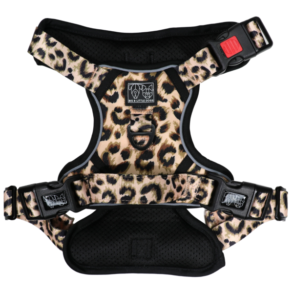 Big & Little Dogs Luxurious Leopard All Rounder Harness
