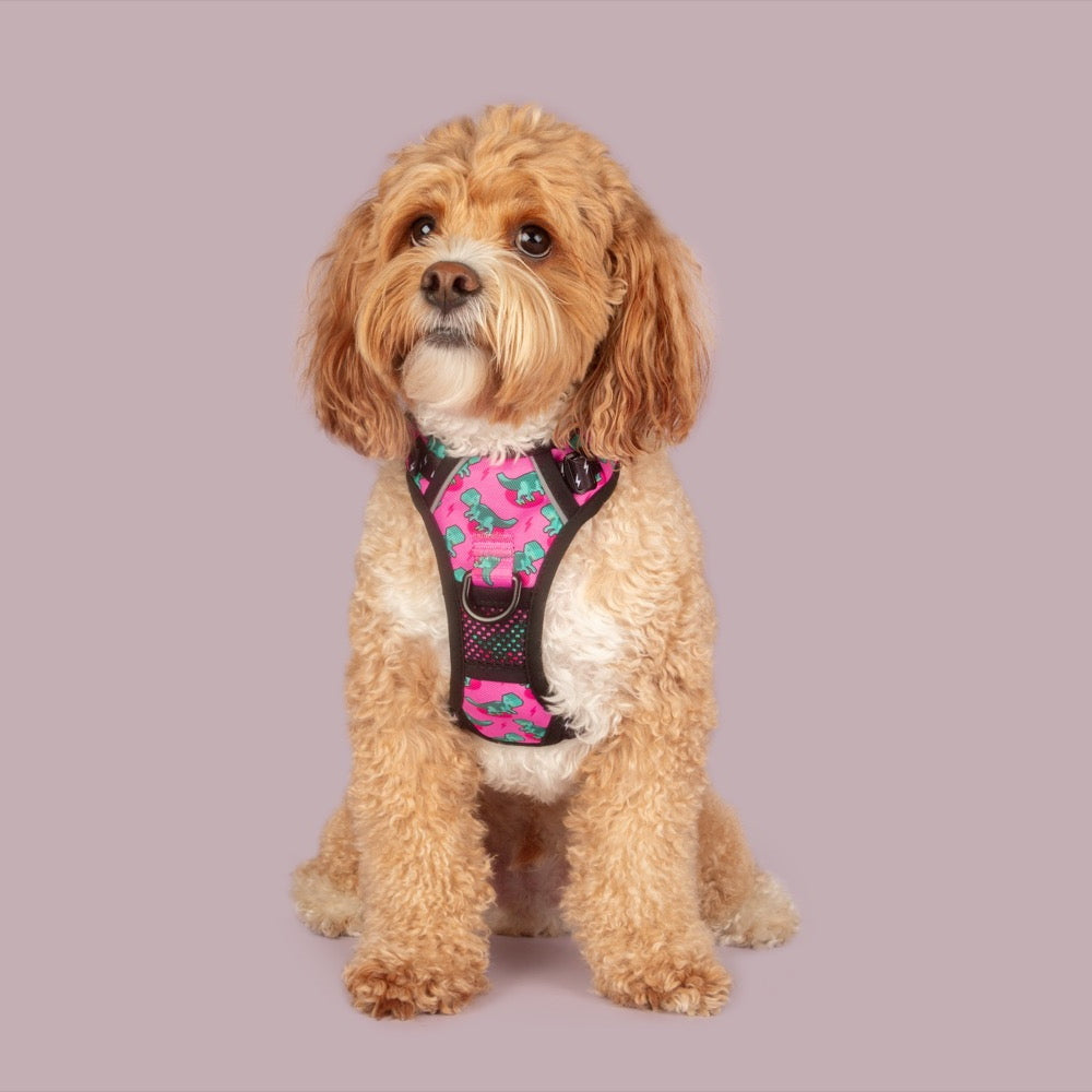 Big & Little Dogs Princess-asaurus All Rounder Harness