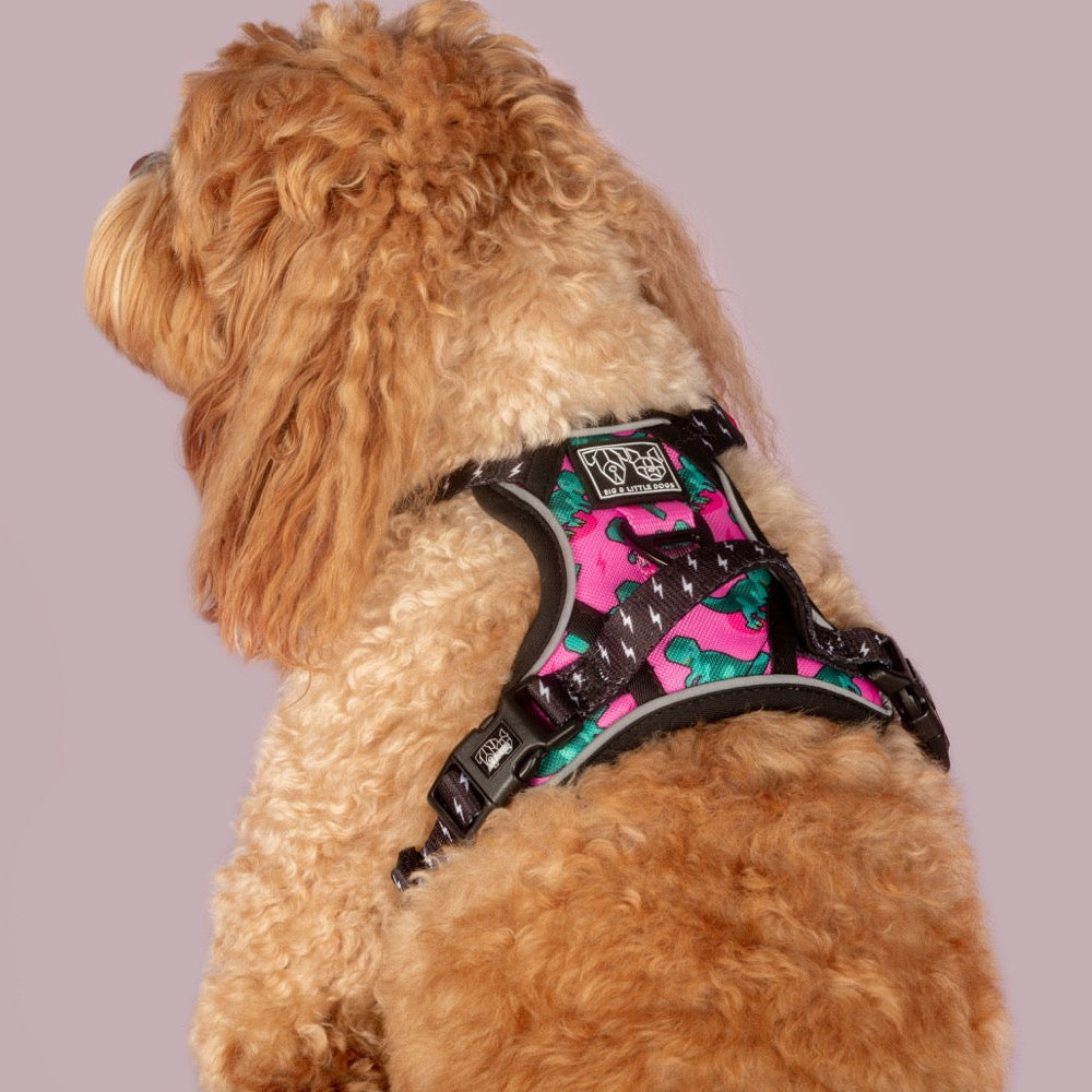 Big & Little Dogs Princess-asaurus All Rounder Harness