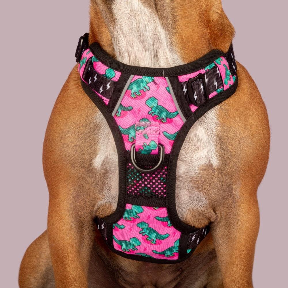 Big & Little Dogs Princess-asaurus All Rounder Harness