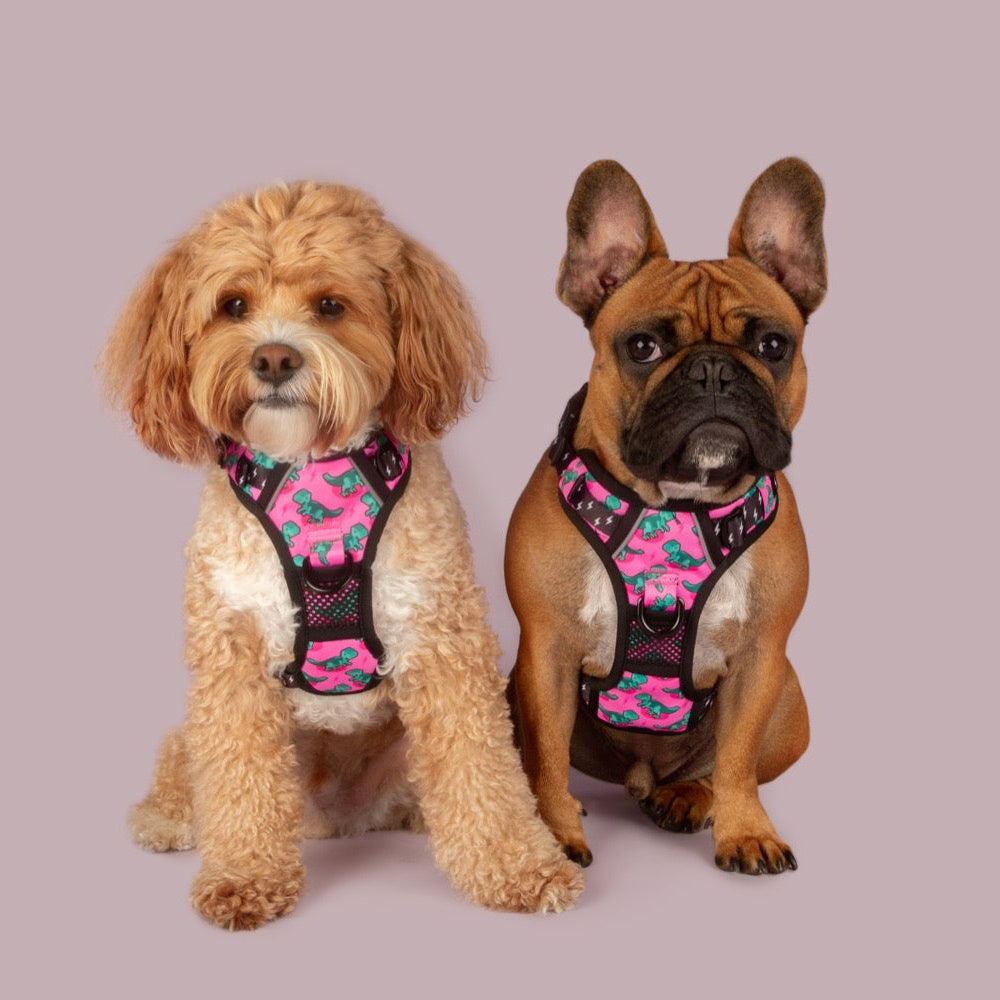 Big & Little Dogs Princess-asaurus All Rounder Harness
