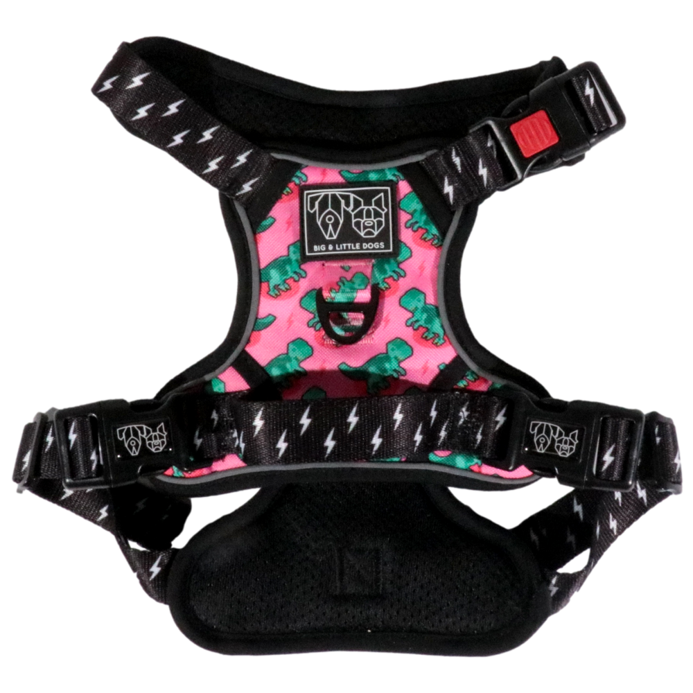 Big & Little Dogs Princess-asaurus All Rounder Harness