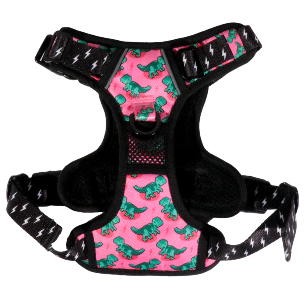 Big & Little Dogs Princess-asaurus All Rounder Harness
