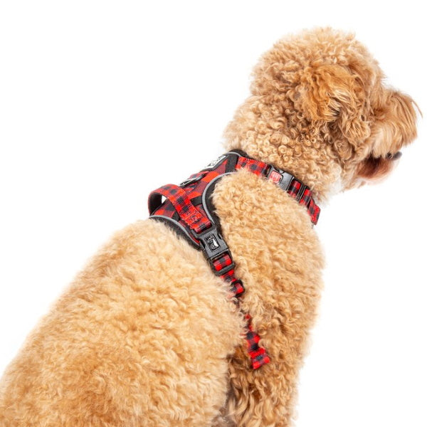 Big & Little Dogs Plaid To The Bone All Rounder Harness