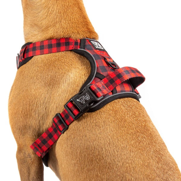 Big & Little Dogs Plaid To The Bone All Rounder Harness