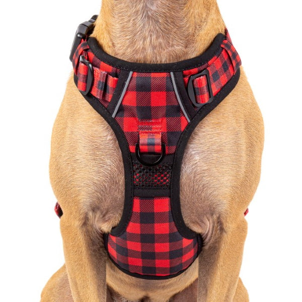 Big & Little Dogs Plaid To The Bone All Rounder Harness