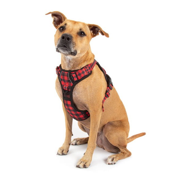 Big & Little Dogs Plaid To The Bone All Rounder Harness