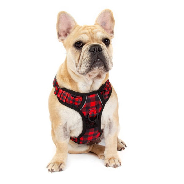 Big & Little Dogs Plaid To The Bone All Rounder Harness