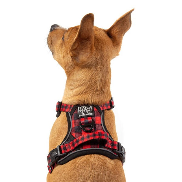 Big & Little Dogs Plaid To The Bone All Rounder Harness
