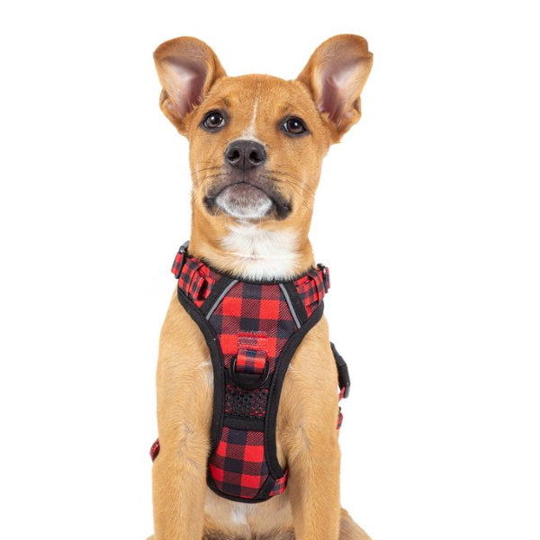 Big & Little Dogs Plaid To The Bone All Rounder Harness