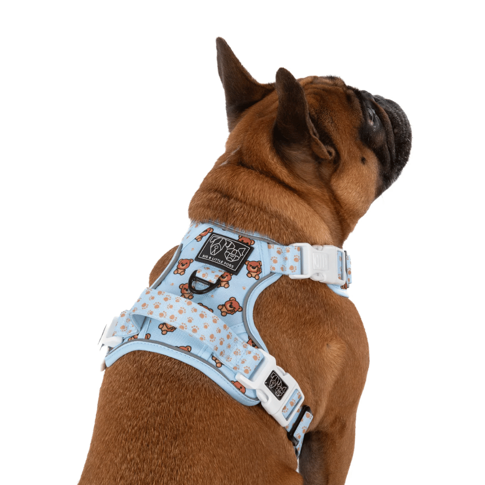 Big & Little Dogs All Rounder Harness: Cuddle Club