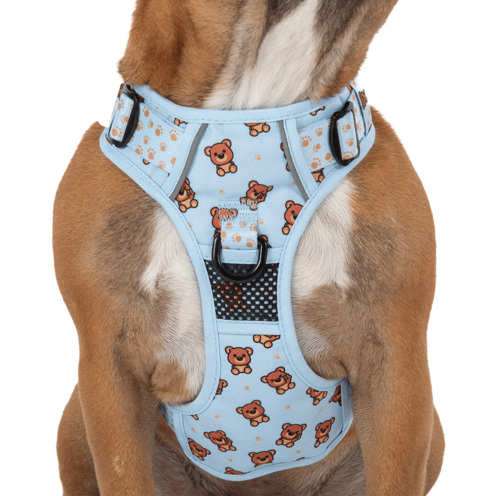 Big & Little Dogs All Rounder Harness: Cuddle Club