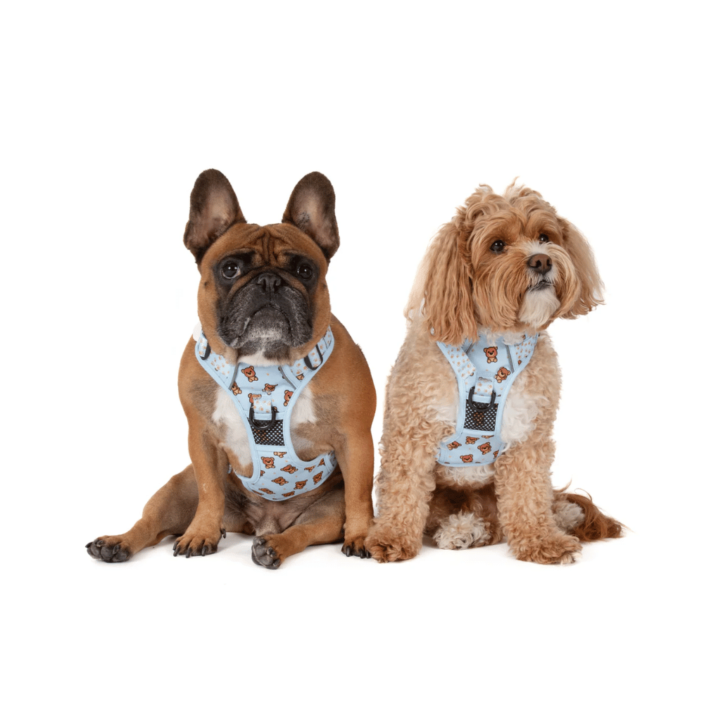 Big & Little Dogs All Rounder Harness: Cuddle Club