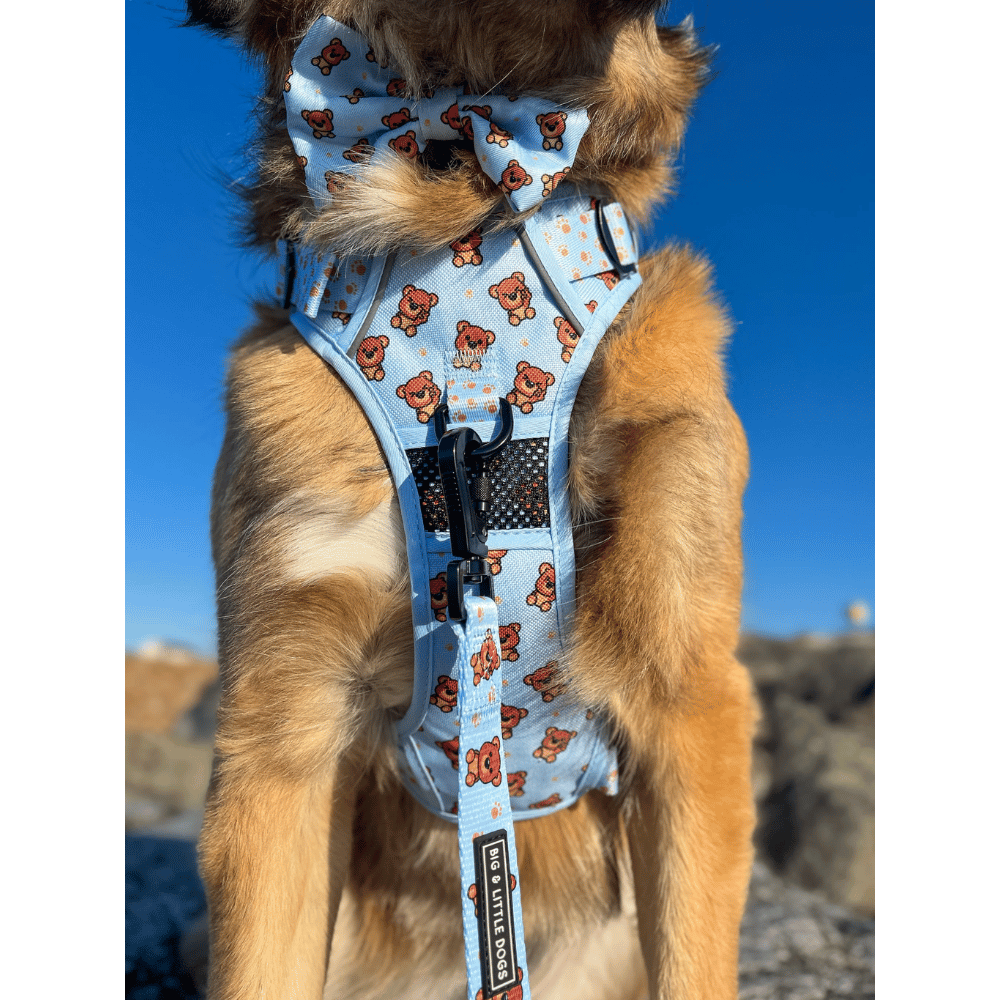 Big & Little Dogs All Rounder Harness: Cuddle Club