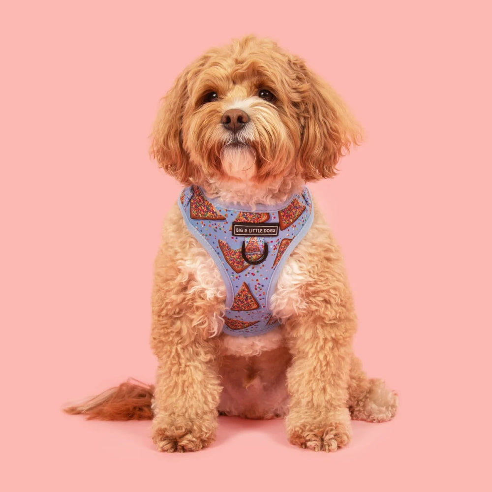 Big & Little Dogs Blue Fairy Bread Adjustable Harness