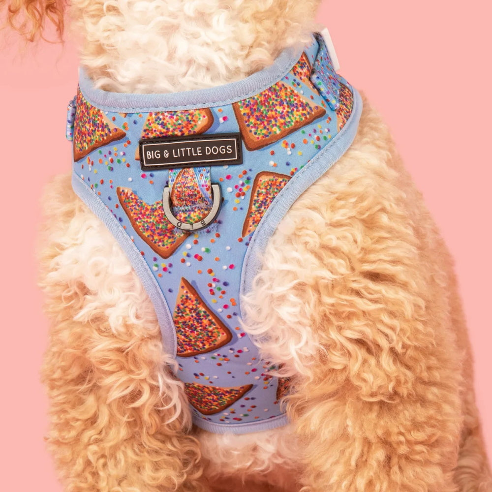 Big & Little Dogs Blue Fairy Bread Adjustable Harness