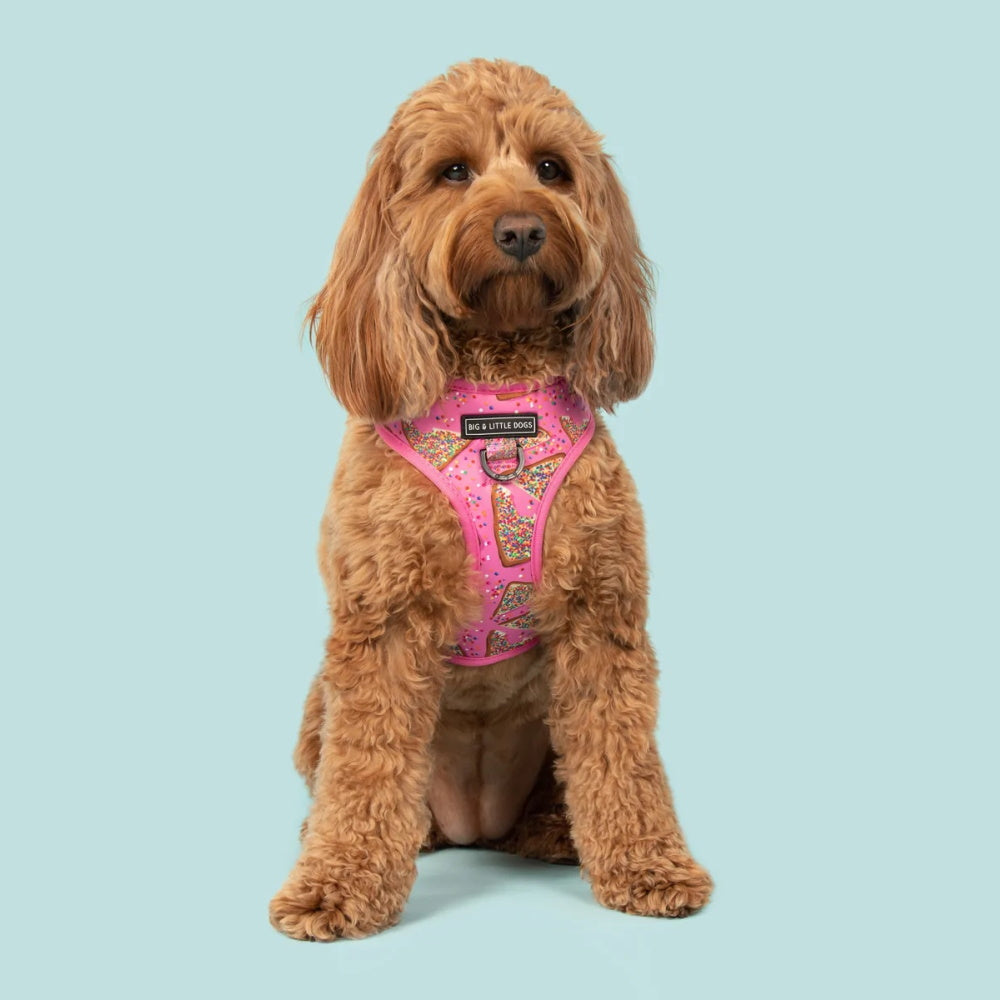 Big & Little Dogs Pink Fairy Bread Adjustable Harness