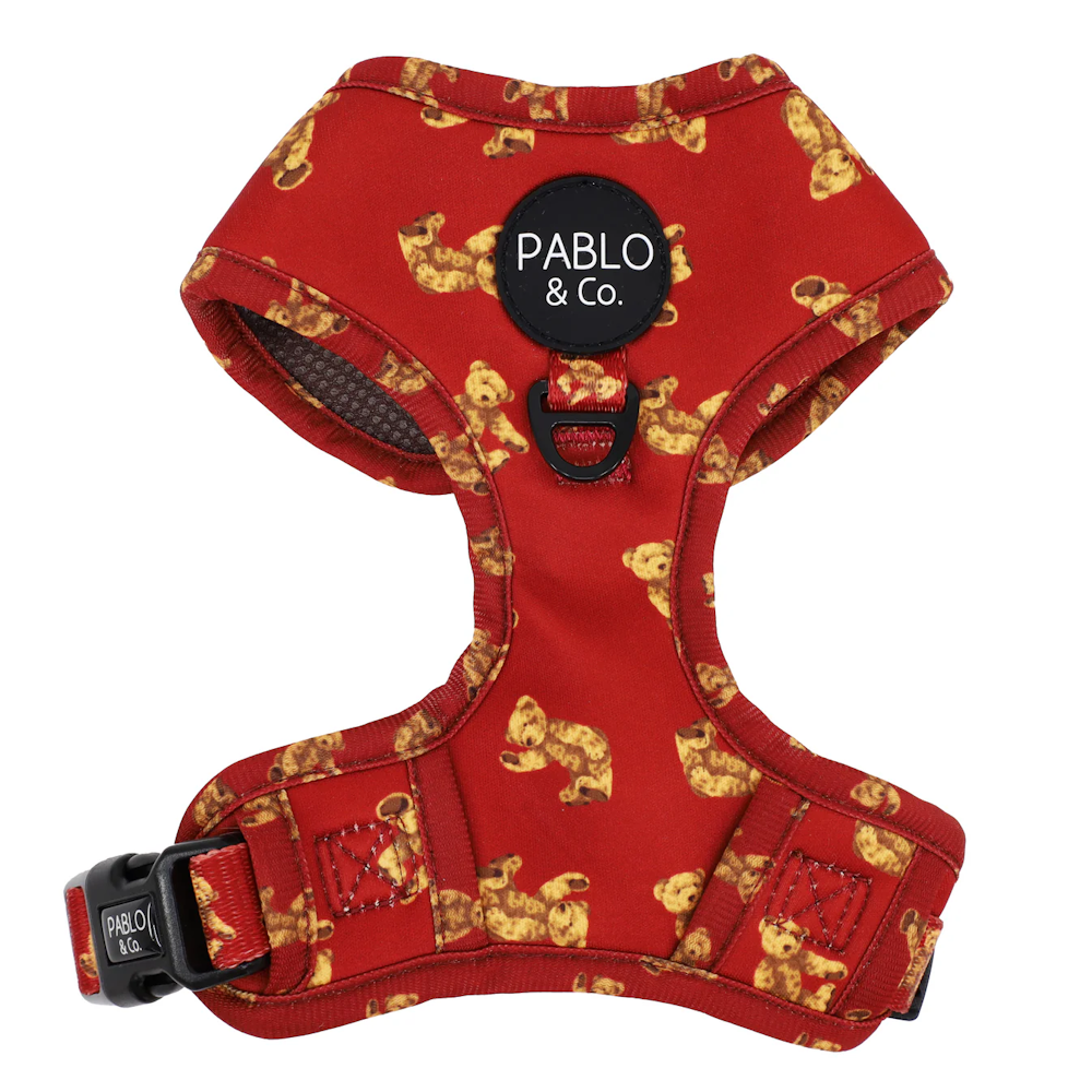 Pablo & Co Henry Bear Adjustable Harness