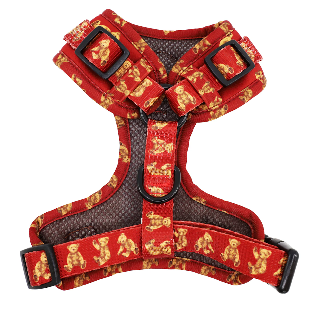 Pablo & Co Henry Bear Adjustable Harness