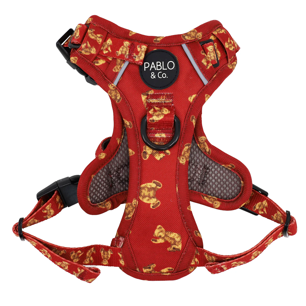 Pablo & Co Henry Bear No Pull Adventure Harness