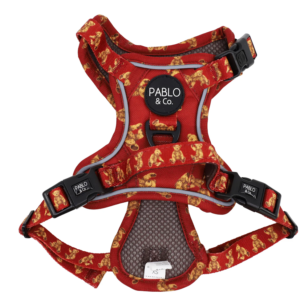 Pablo & Co Henry Bear No Pull Adventure Harness