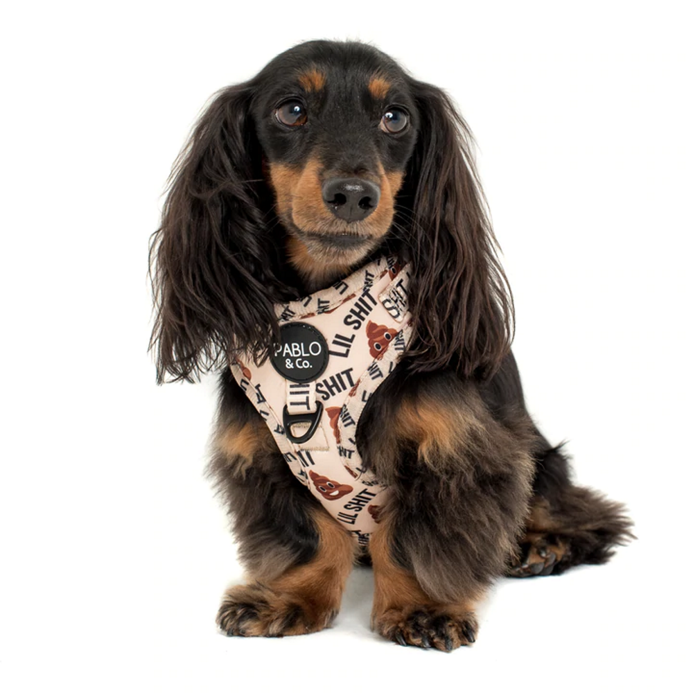 Pablo & Co Lil Shit 2.0: Adjustable Harness