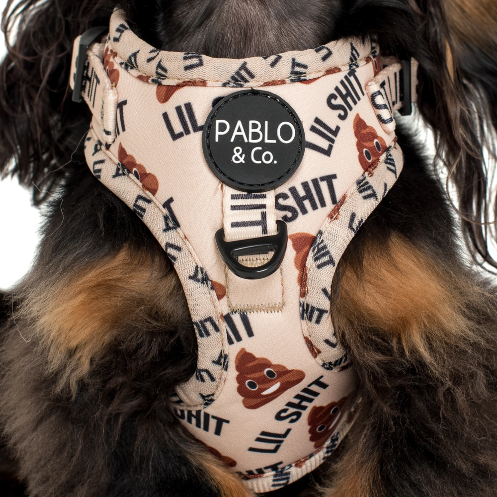 Pablo & Co Lil Shit 2.0: Adjustable Harness