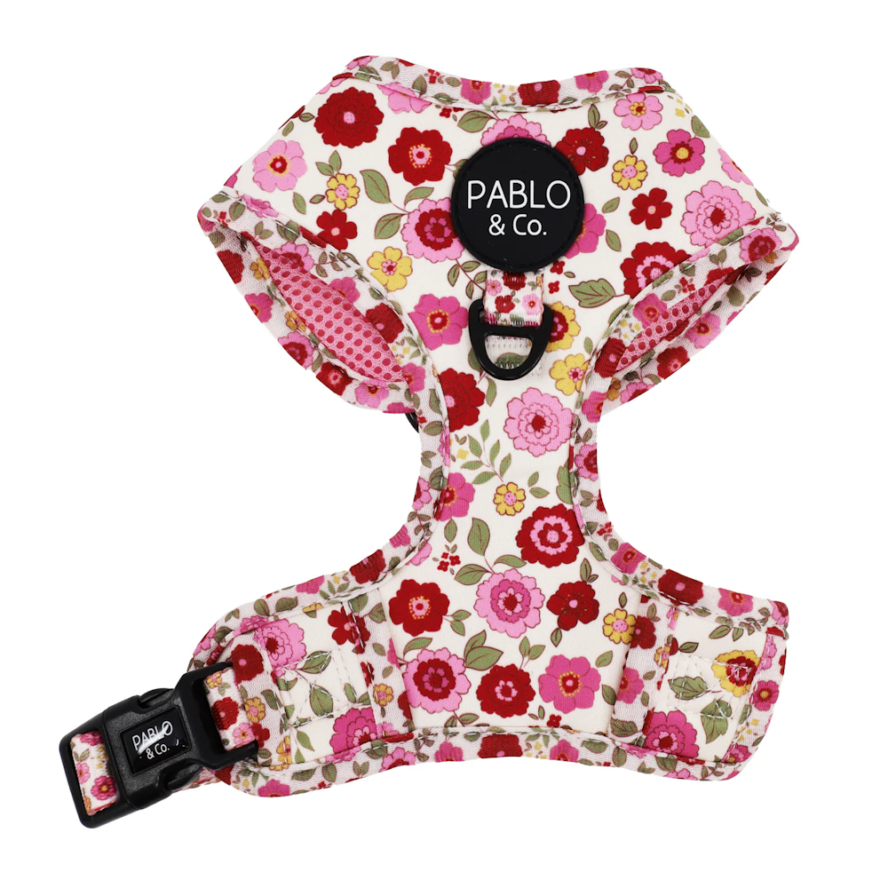Pablo & Co Primrose Adjustable Harness