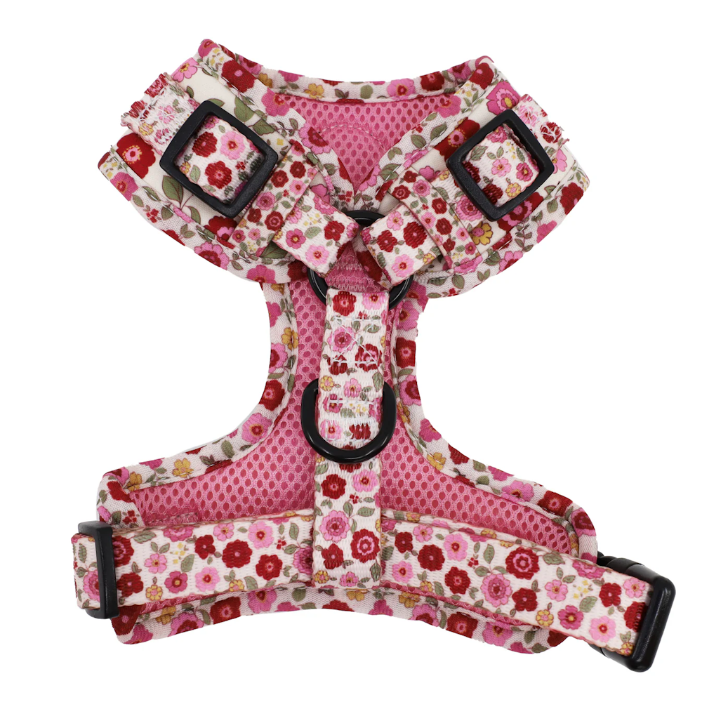 Pablo & Co Primrose Adjustable Harness
