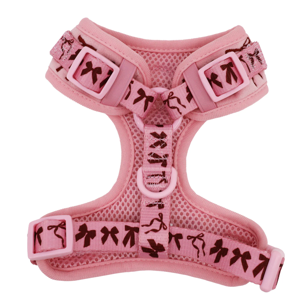 Pablo & Co Velvet Blush Bows Adjustable Harness